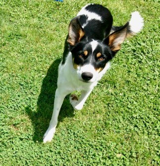 2017-05-18 12.59.27 (1).jpg